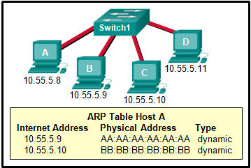 Switch1 has four PCs attached: host A 10.55.5.8; host B 10.55.5.9; host C 10.55.5.10; and host D 10.55.5.11. Below the PCs is the ARP table for host A with the following information: lt;subgt;Internet Address    Physical Address       Type    10.55.5.9           AA:AA:AA:AA:AA:AA   dynamic    10.55.5.10         BB:BB:BB:BB:BB:BB   dynamiclt;/subgt;