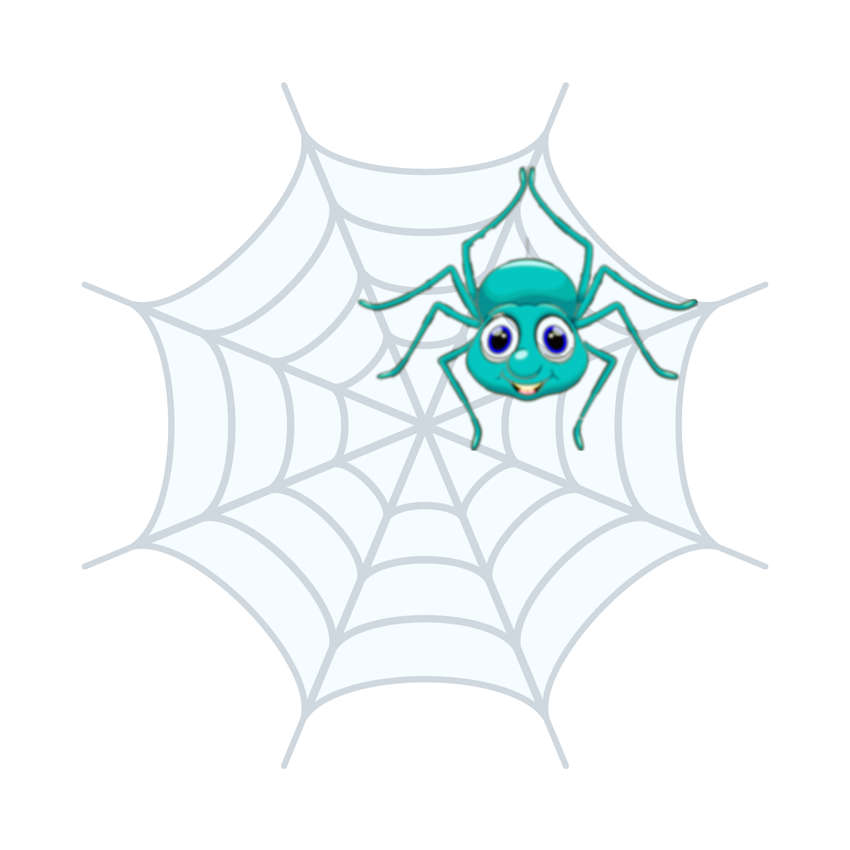 Spider Image