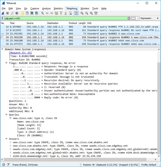 Captura de pantalla de Wireshark con el paquete DNS resaltado expandido en el panel inferior.